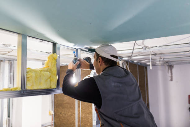 Best Insulation Installation Services in Caon City, CO