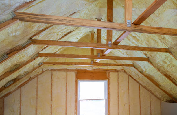 Best Insulation Maintenance and Repair in Caon City, CO