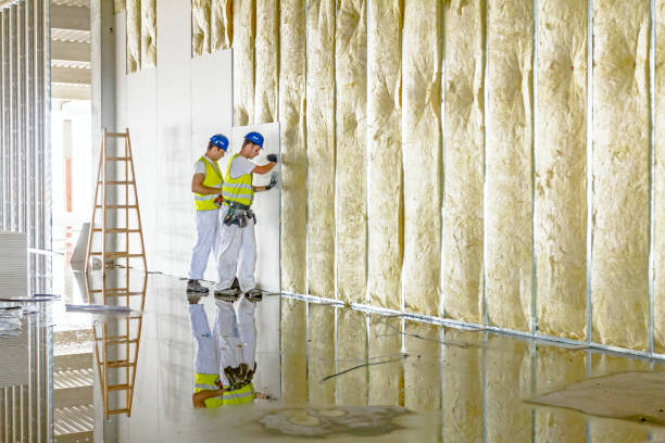 Best Types of Insulation in Caon City, CO